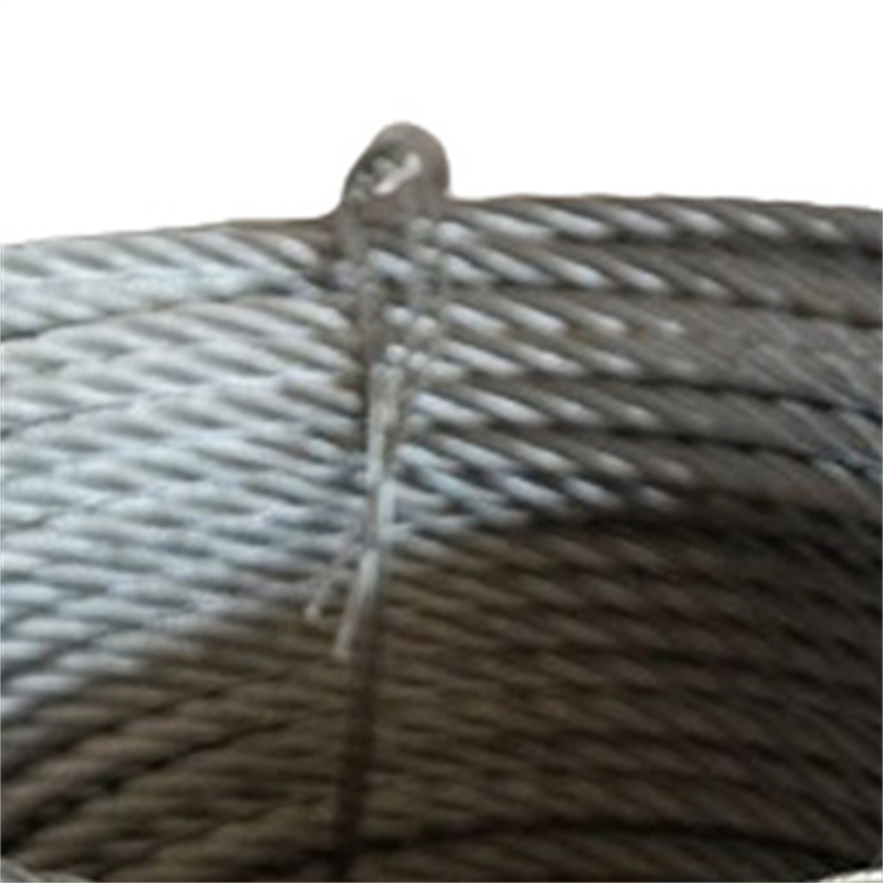 निलंबित तार रस्सी