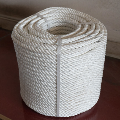 पतन गिरफ़्तारी रस्सी