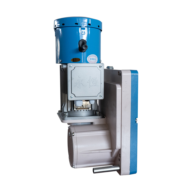 रस्सी इलेक्ट्रिक ट्रैक्शन होइस्ट मोटर रस्सी इलेक्ट्रिक ट्रैक्शन होइस्ट मोटर