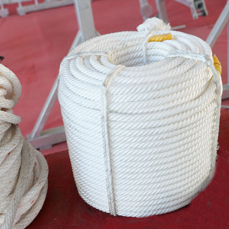 लंबवत जीवनरेखा रस्सी